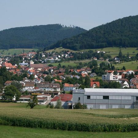 Ferienwohnung Seelbach  Bagian luar foto