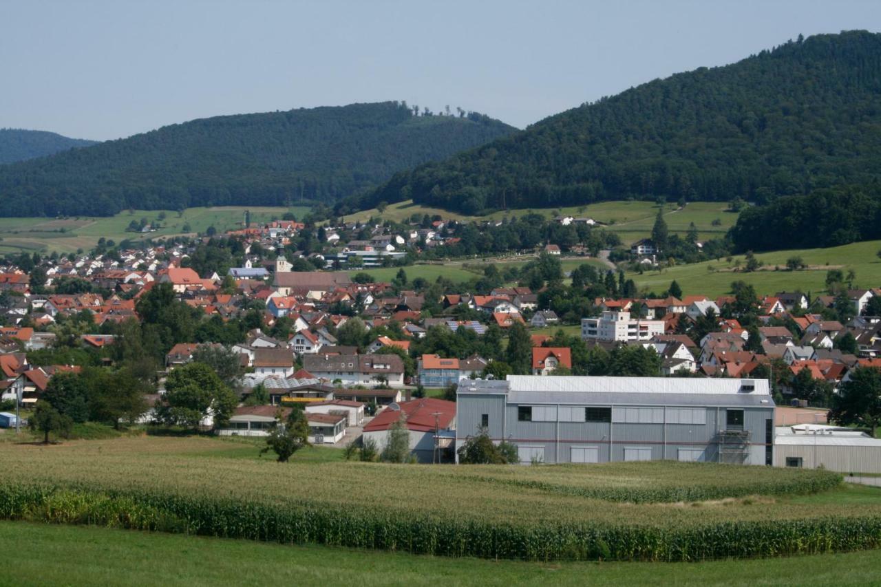 Ferienwohnung Seelbach  Bagian luar foto