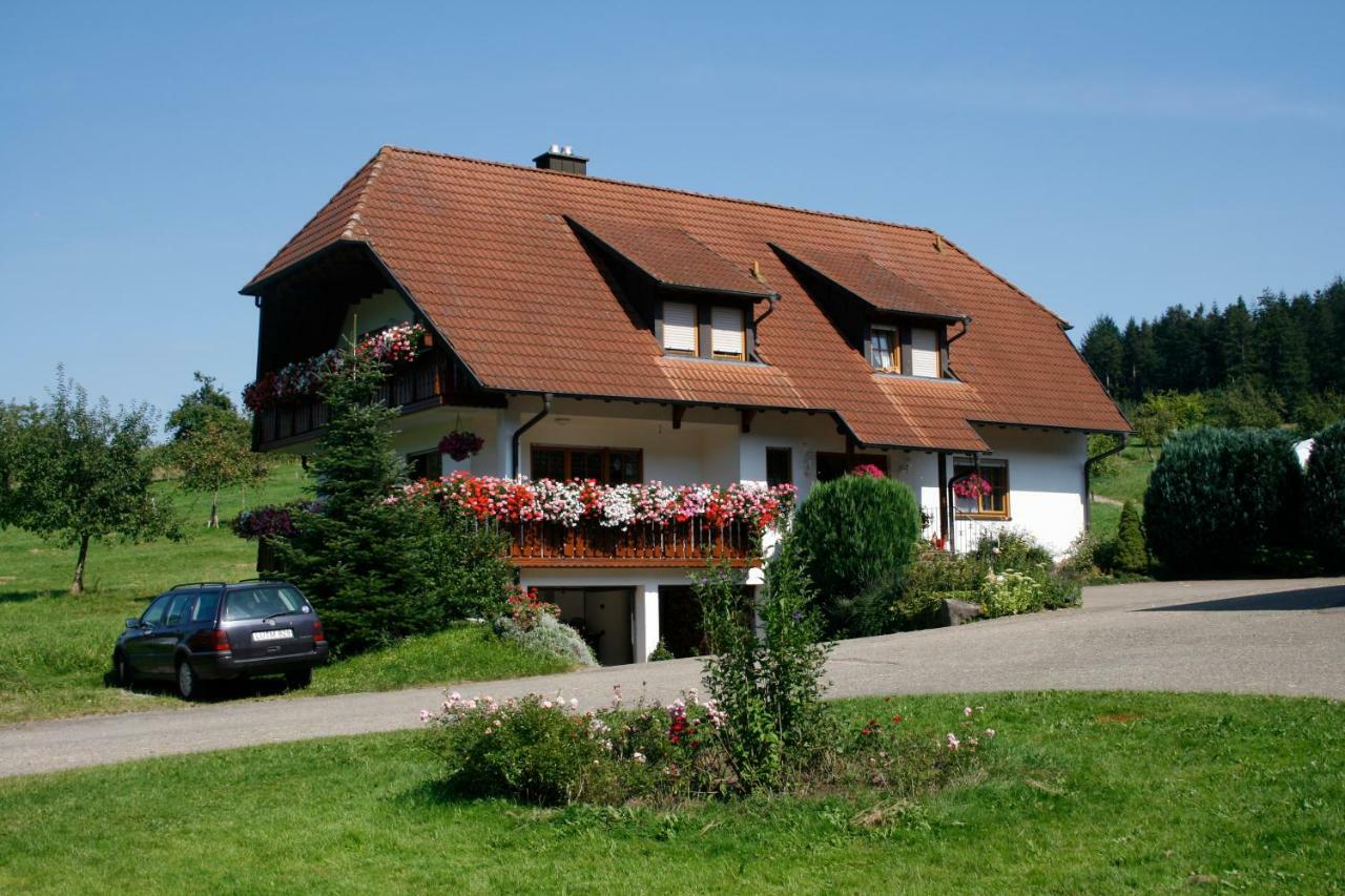 Ferienwohnung Seelbach  Bagian luar foto
