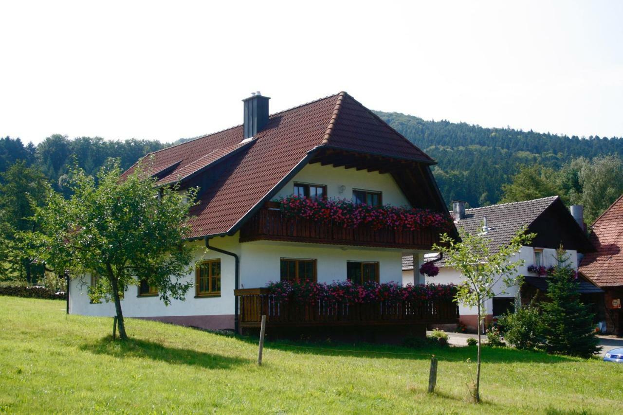 Ferienwohnung Seelbach  Bagian luar foto