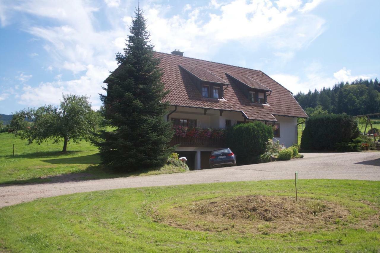 Ferienwohnung Seelbach  Bagian luar foto
